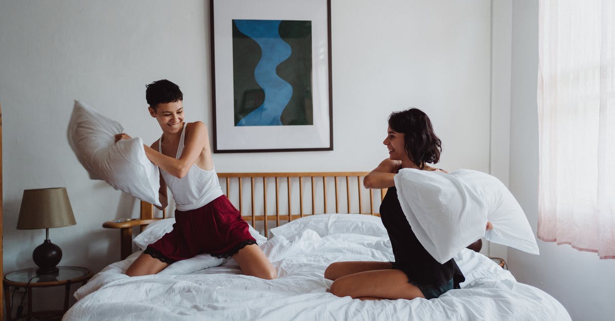 Are "adults-only" hotels the same as love motels? - Two Women Having a Pillow Fight