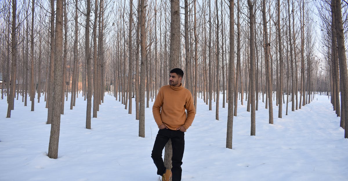 Are snow spikes for boots allowed in hand luggage? - A Man Leaning on a Tree Trunk