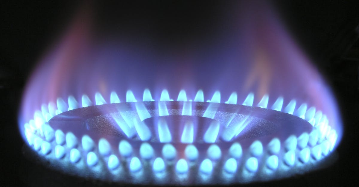 Are taxes included in fuel prices? - Burning Stove