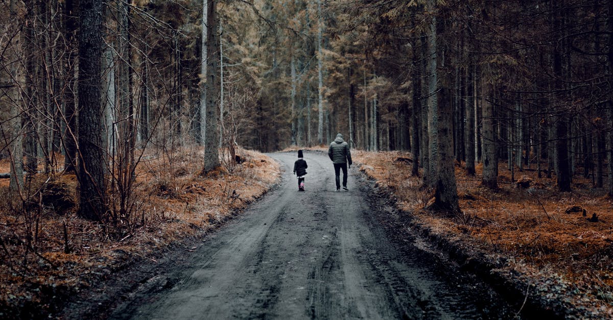 Are the child-friendly trails in the Tatras? - Two People Walking on Road Between Trees