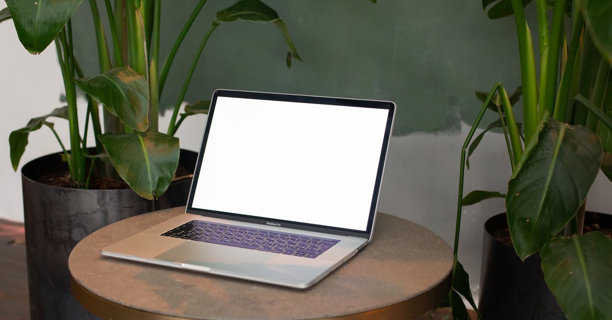 Are the Paris Catacombs currently open for visiting? - Free stock photo of color, computer, flora