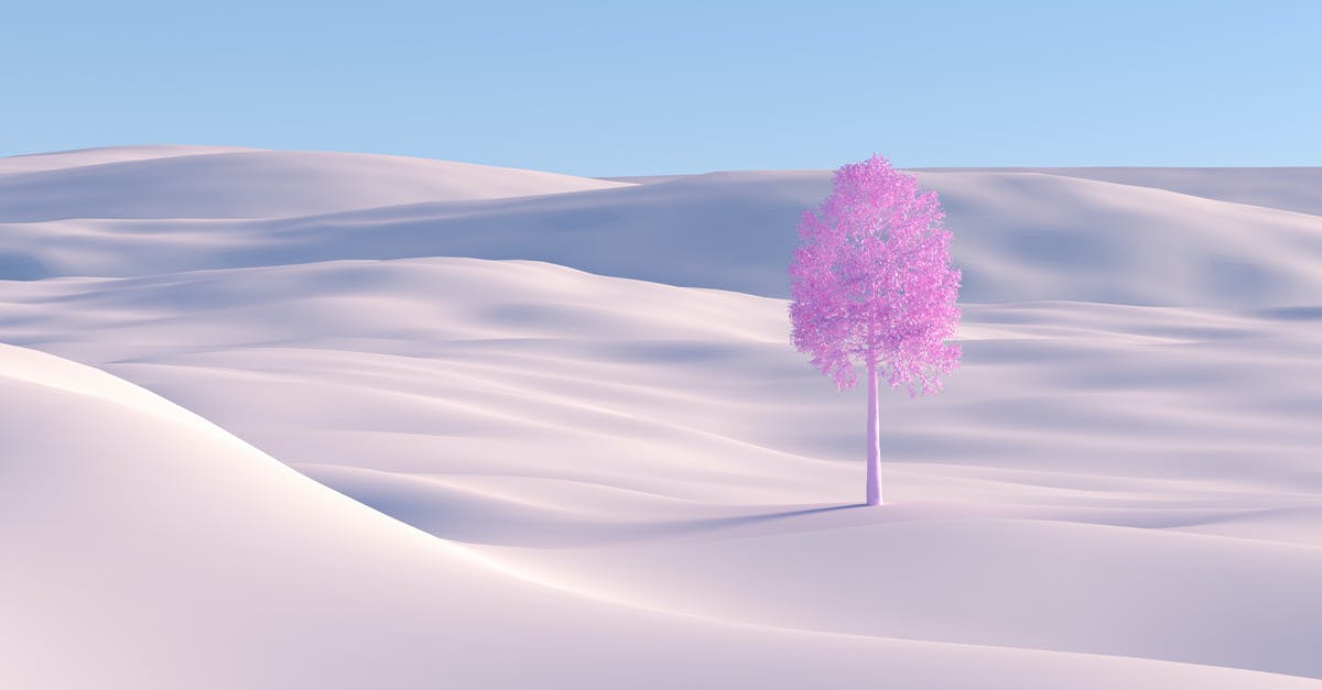 Are the sand dunes at Knolls, UT safe to visit? - Purple Tree on Desert