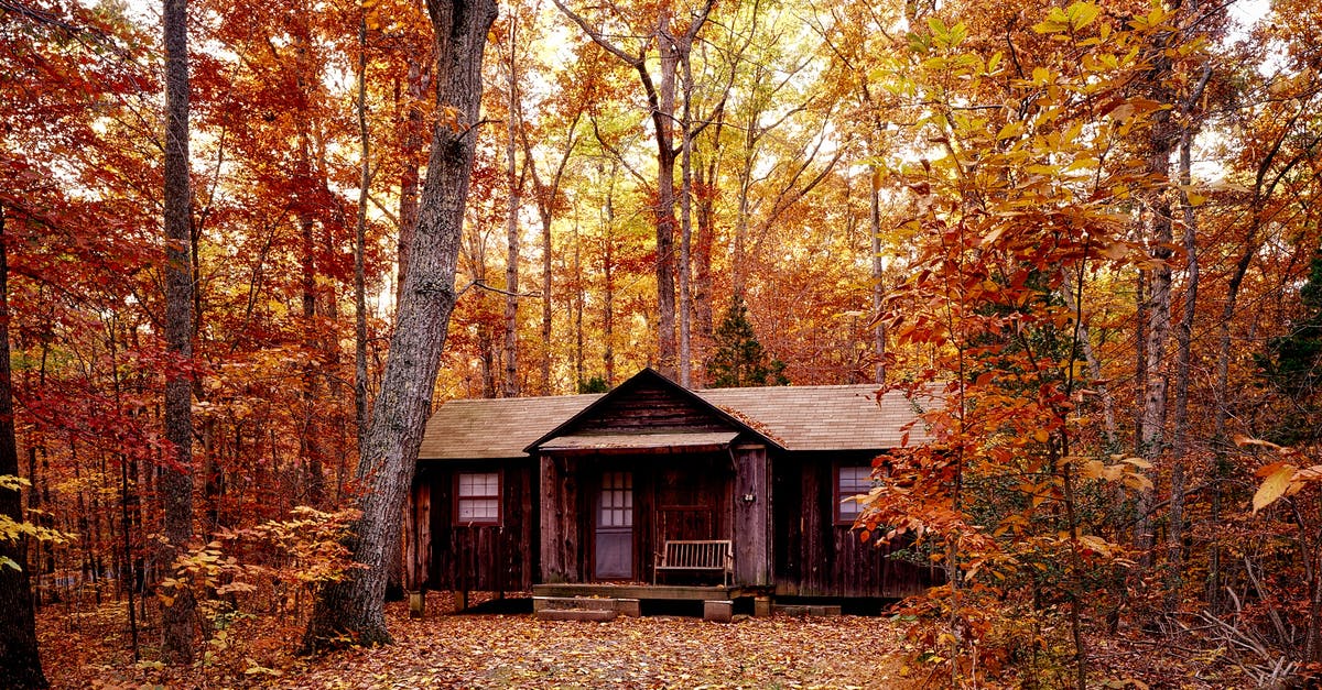 Are there alternatives to the ranger cabins in Algonquin Park? - Brown Wooden House on Orange Leaf Trees