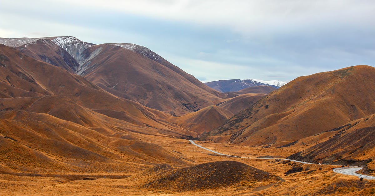 Are there any Chinatowns in New Zealand? - Brown Mountains Under the Blue Sky