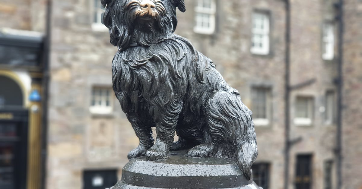 Are there any direct buses between Dundee and Edinburgh Airport? - Black and Brown Long Coated Dog Statue