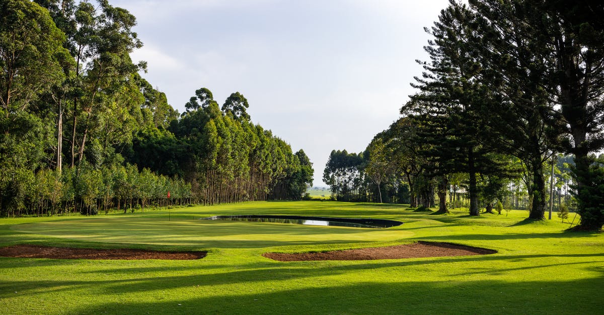 Are there any ferries between Okinawa and China? - View of Golf Playground Between Rows of Tall Trees