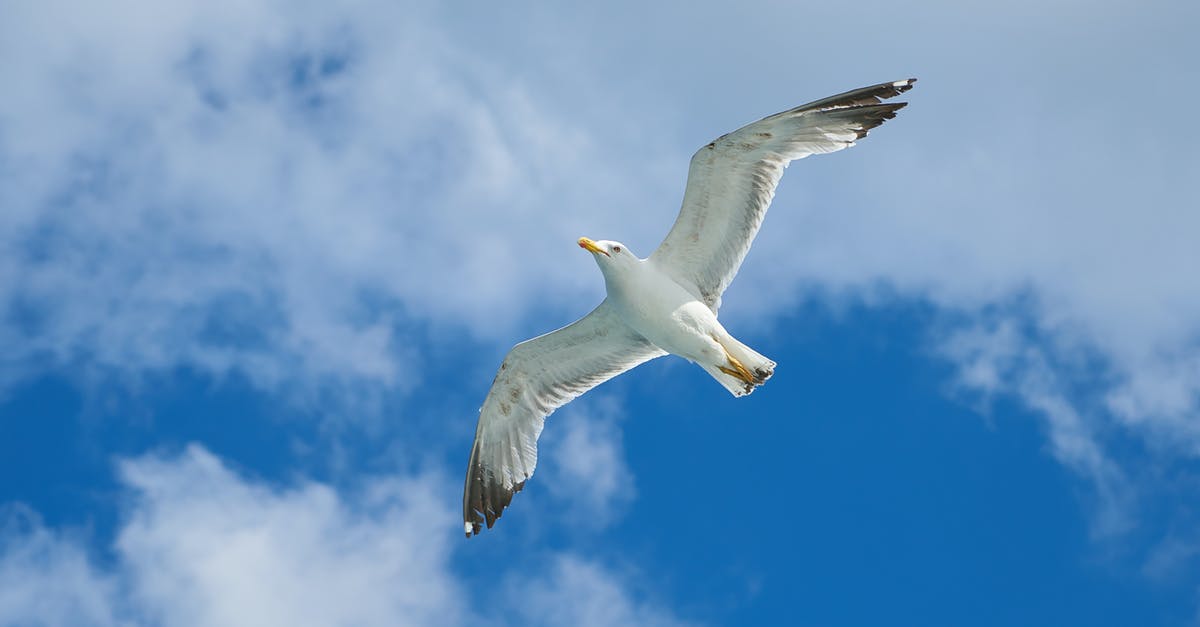 Are there any flights which fly above the Bermuda Triangle? - Flying Seagull