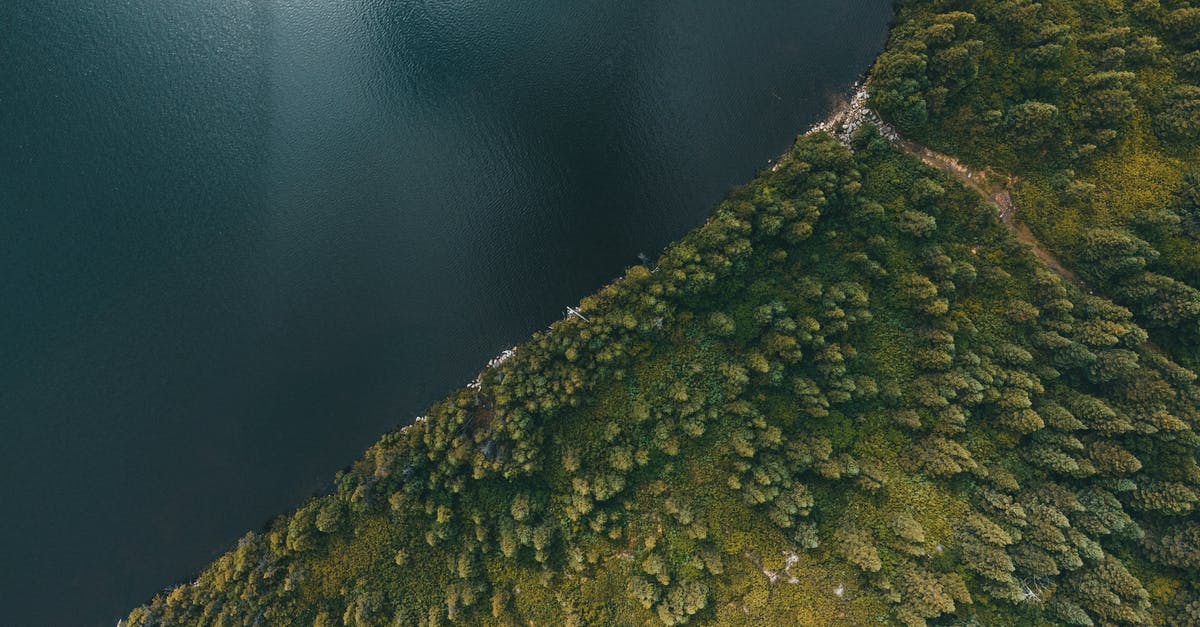 Are there any genuine gers near Sydney? - Aerial View of Sea Near Vast Field of Trees