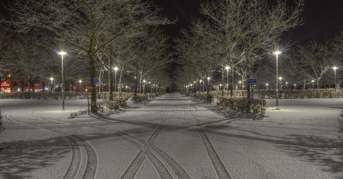 Are there any guarded parking lots anywhere in or near Berlin, Germany? - Cleared Road Near Trees and Light Post during Nighttime