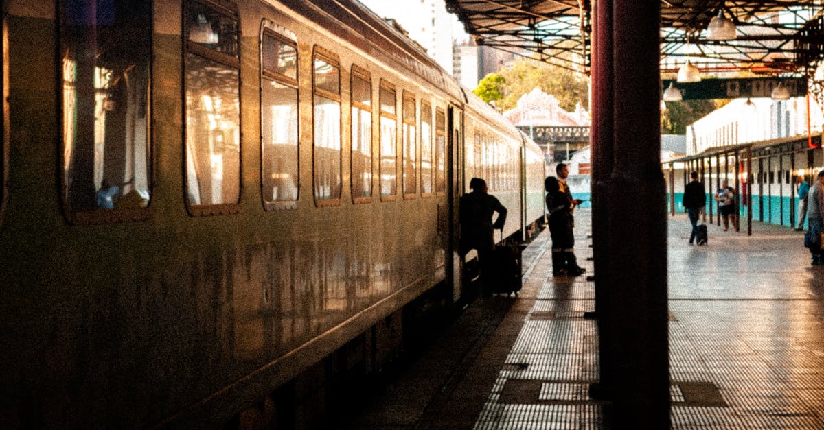 Are there any international train services in South America? - Passengers on platform next to train