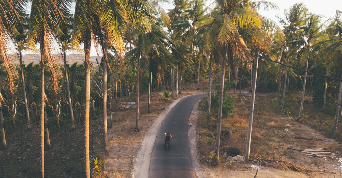 Are there any moving companies which can transport plants from CA to IL [closed] - From above of anonymous person riding motorbike on asphalt road surrounded with tall verdant palms in daytime