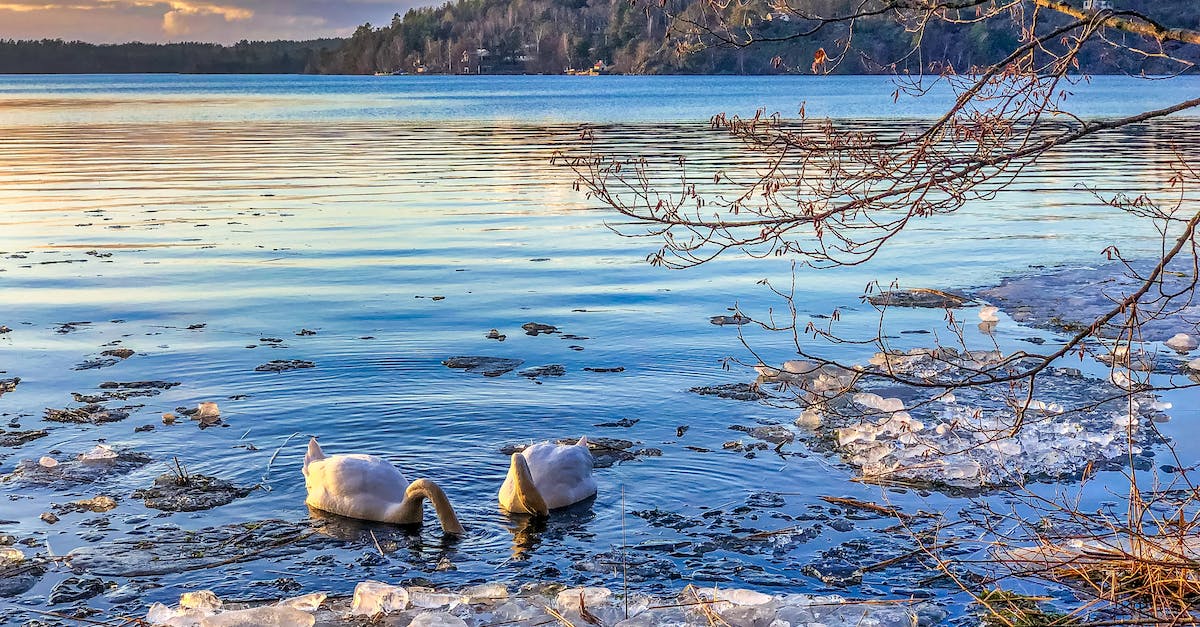 Are there any museums in Stockholm for children? (not Junibacken) - Ducks On Body Water