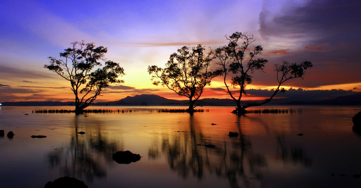 Are there any natural lakes within 3-hours of Dallas? - Silhouette of Trees Near Body of Water