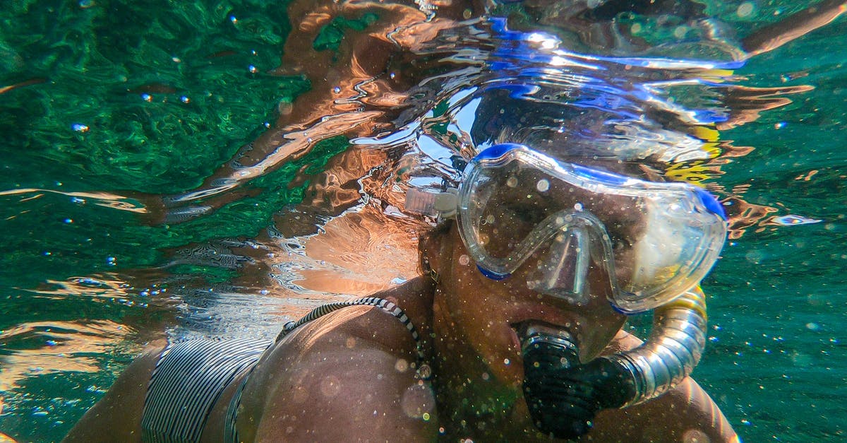 Are there any places to snorkel in Auckland? - Woman Wearing Goggles and Snorkel