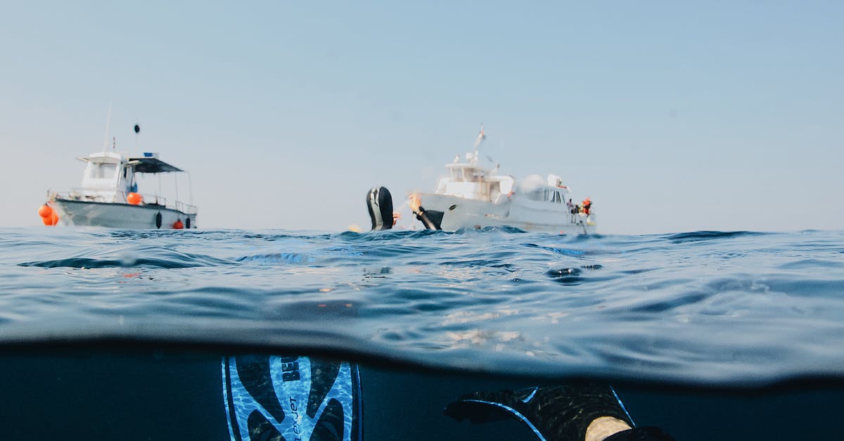 Are there any places to snorkel in Auckland? - Photo Of Person Submerged On Ocean 