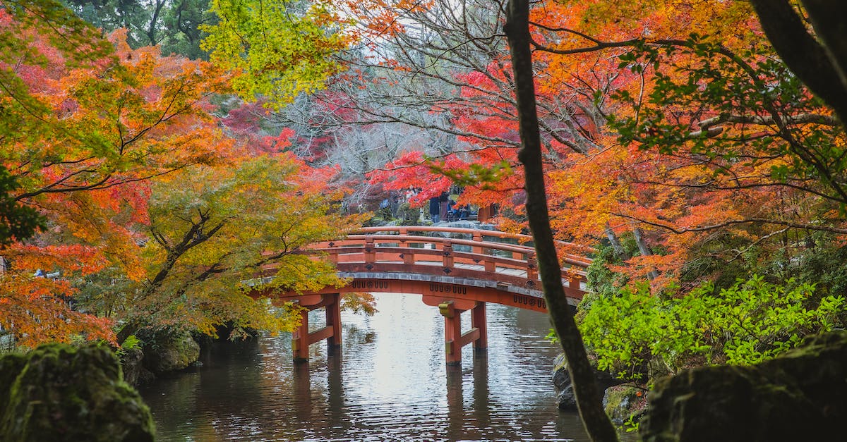 Are there any prepaid travel cards available in Japanese Yen? - Arched bridge over calm lake in Japanese park