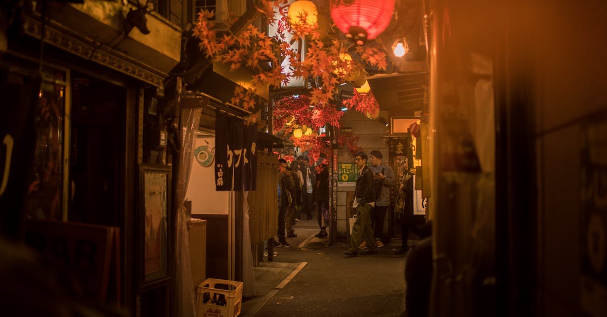 Are there any restaurants in Tokyo that serve Sannakji? - Photo of People Walking on Alleyway