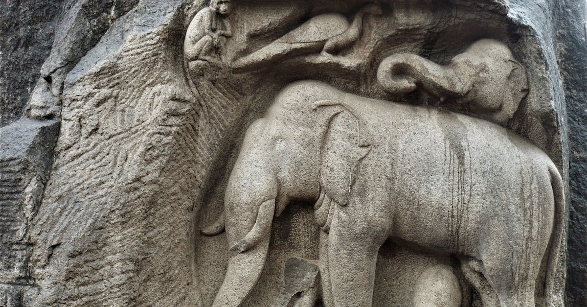 Are there any stone elephants in Shanghai? - A Sculpture of Elephants and a Monkey at the Descent of the Ganges in Mamallapuram, India