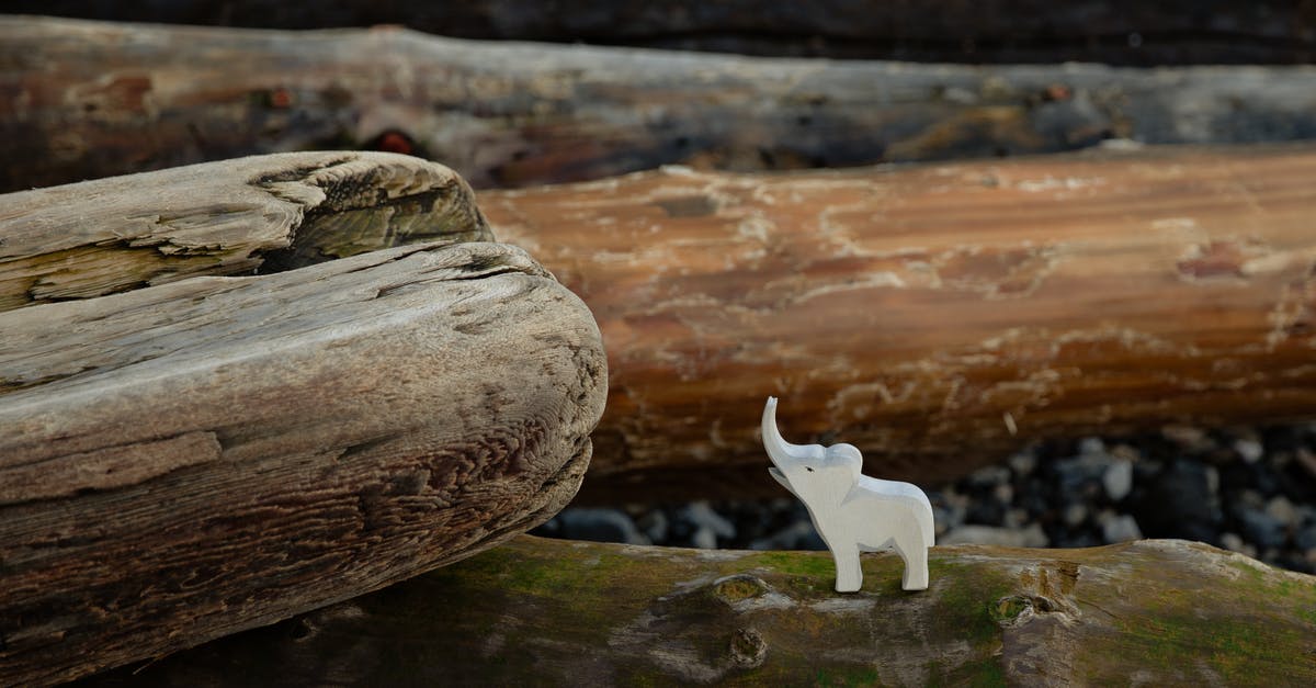 Are there any stone elephants in Shanghai? - Toy figure of elephant placed on log on stony ground in nature
