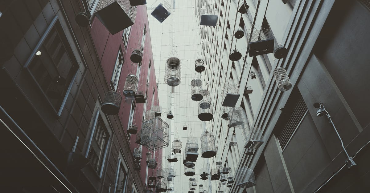Are there any travel experiences in Australia that offer aboriginal (or Torres Strait) “cultural immersion”? - From below of various birdcages hanging on street between modern buildings in Sydney city district