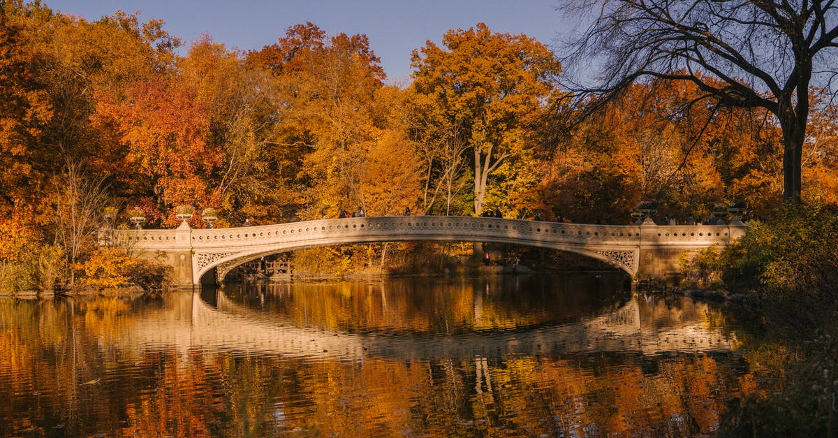 Are there examples of Googie architecture outside the U.S.? - Aged Bow Bridge crossing calm water of lake surrounded by autumn trees placed in Central Park in New York in sunny day