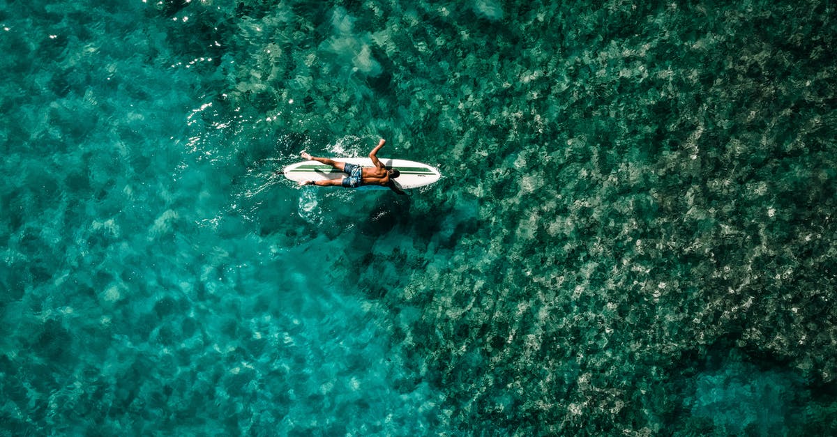 Are there organized surfing day trips from Bordeaux? - Anonymous male athlete floating in sea lying on surfboard