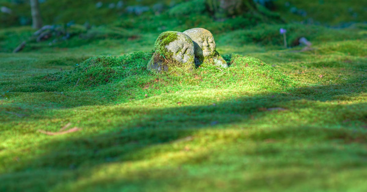 Are there other country-based theme parks in Japan besides "Huis ten Bosch"? - Gray Rock Formation on Grass Field Are there other country-based theme parks in Japan besides "Huis ten Bosch"? - Gray Rock Formation on Grass Field