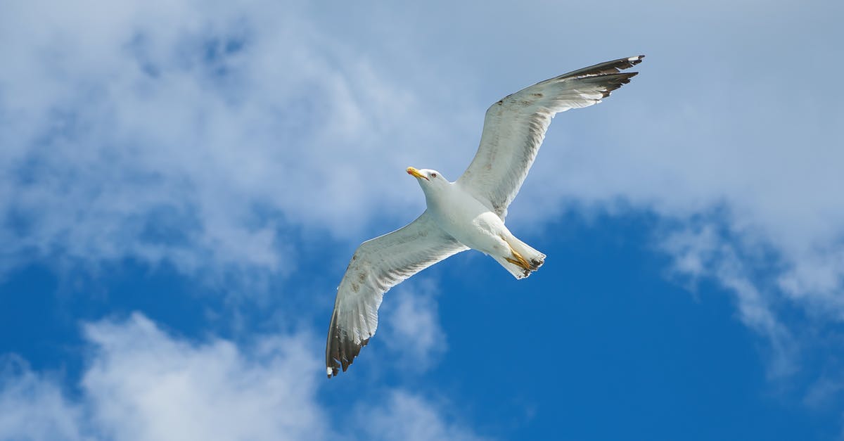 Are there other places with wind tunnel "wings"? - Flying Seagull