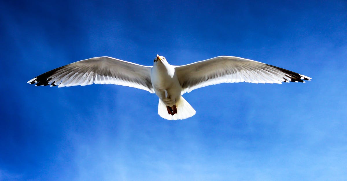 Are there other places with wind tunnel "wings"? - White Seagull Flying on Sky