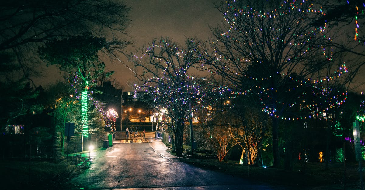 Are there public Midsummer's Eve events near Stockholm I could attend? - Night city with leafless trees decorated with sparkling lights of garlands on street with houses