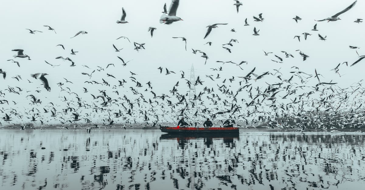 Are there still many refugees on the Copenhagen-Hamburg train? - People in boat floating among birds