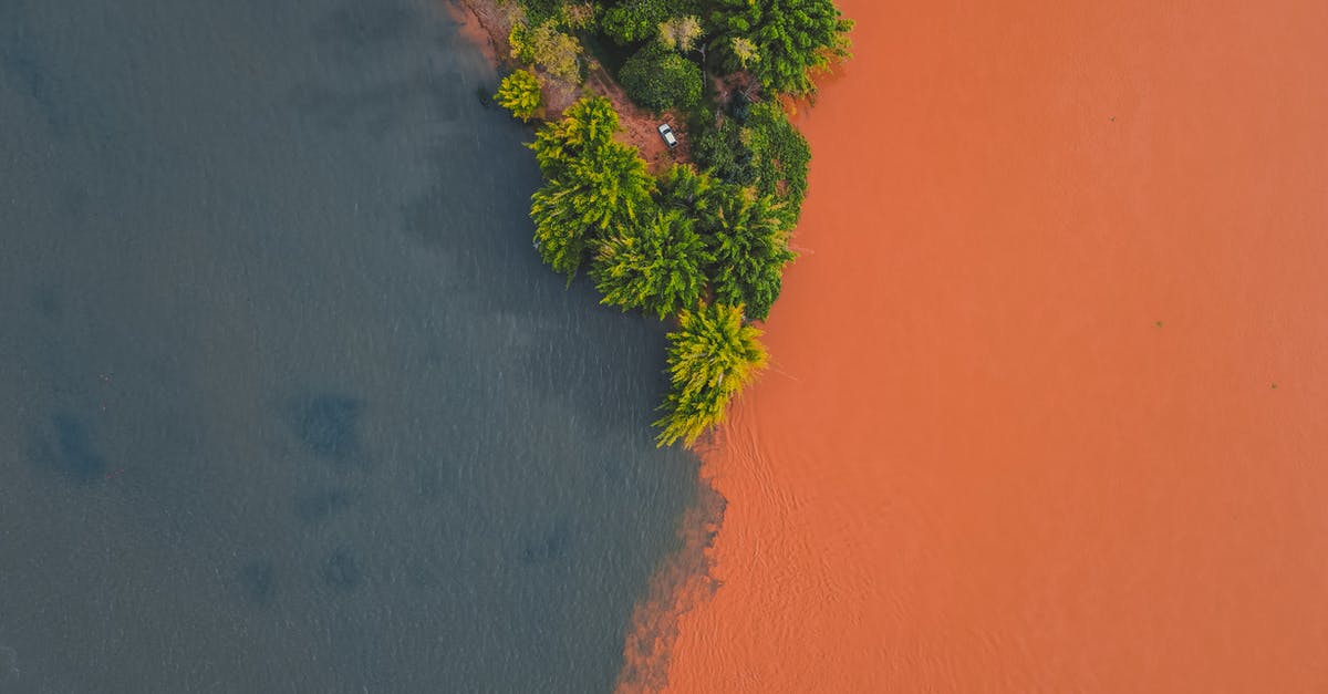 Are visitors allowed in the Amazon forest in Brazil? - Green forest growing near confluence of rivers