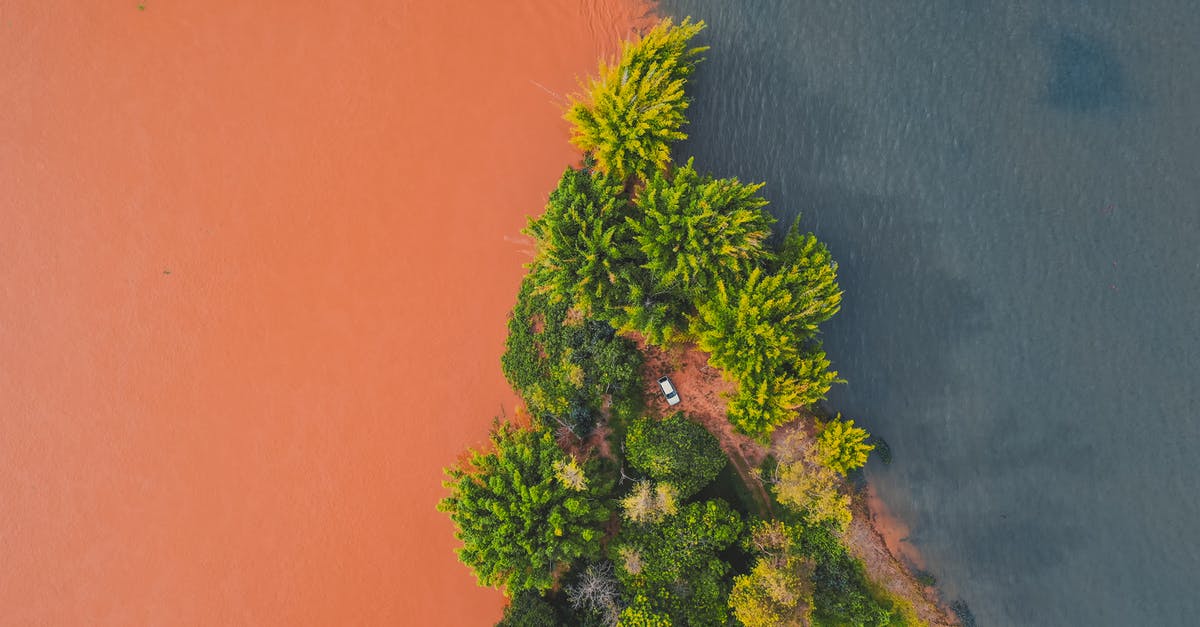 Are visitors allowed in the Amazon forest in Brazil? - Scenic meeting of waters of two colored rivers near lush green trees