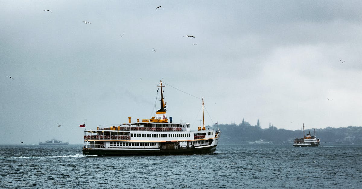 Arrival 23:00 in Tangiers on Grimaldi Lines ferry - Seagulls Flying Above White Ship on Sea During Gloomy Weather