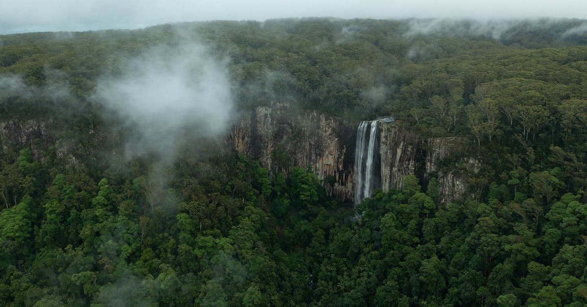 Australia transit visas dates - Green Trees on Mountain