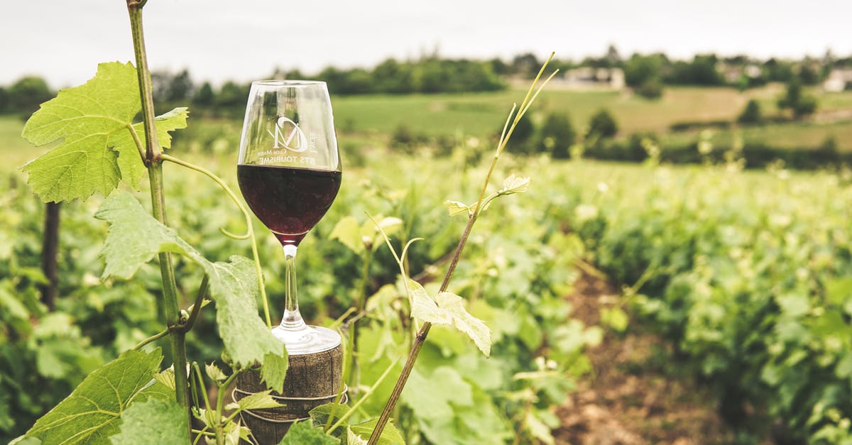 Australian citizens' internship in France [closed] - Glass Filled with Wine