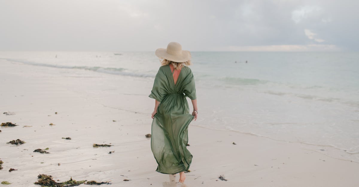 Australian Tourist visa rejected - Woman walking along wet sandy beach in windy day