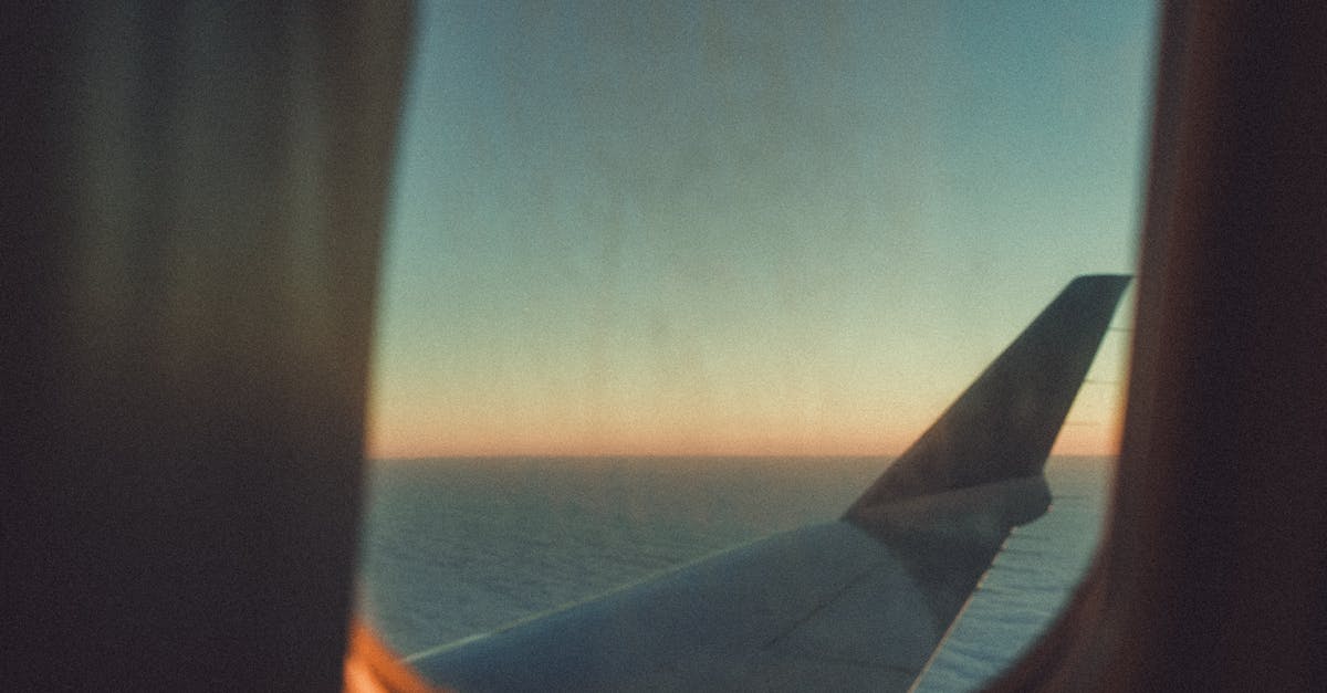 Avoid getting sick when traveling by plane - White Plane Wing during Golden Hour