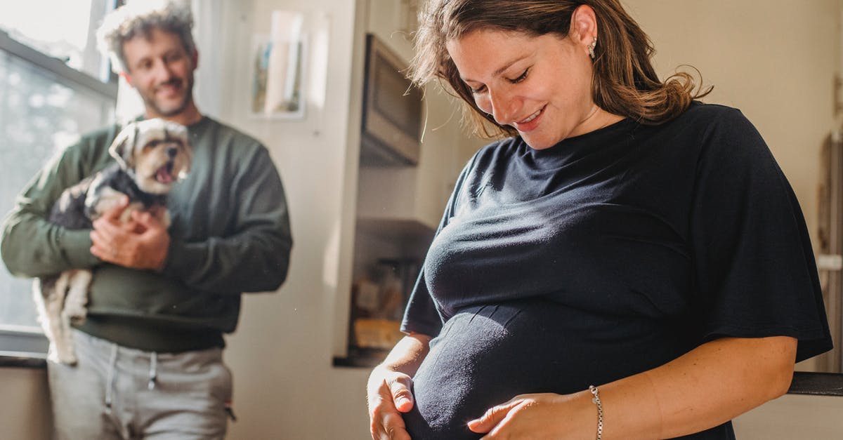 B2 tourist visas for my future wife and her parents - Cheerful adult pregnant woman feeling child moving while touching belly and husband smiling while standing with dog near window in apartment