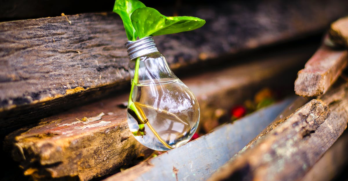 B-2 visa questions [closed] - Close-up of Beer Bottles on Wood