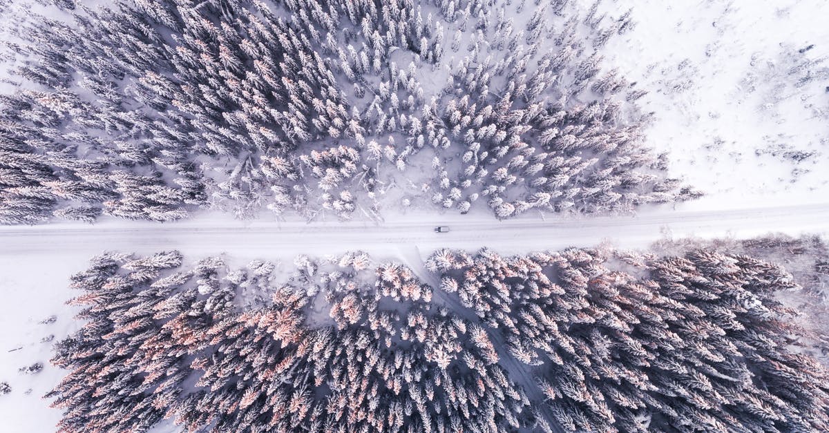 Back to mainland Norway from Svalbard - Aerial Photo Of Road And Forest