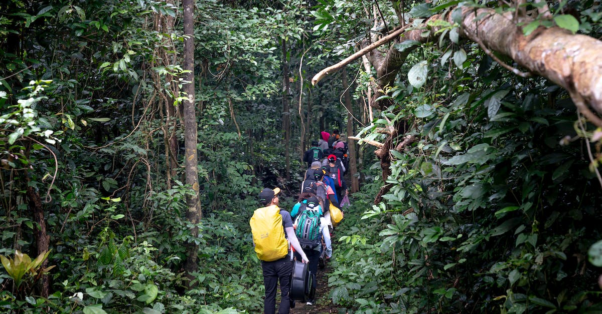 Backpacker 'social groups' for Hippie trail, Gringo trail etc - Group of tourists walking through tropical forest