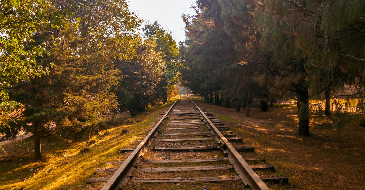 Baku-Tbilisi train - Free stock photo of autumn mood forest, fall colors, path