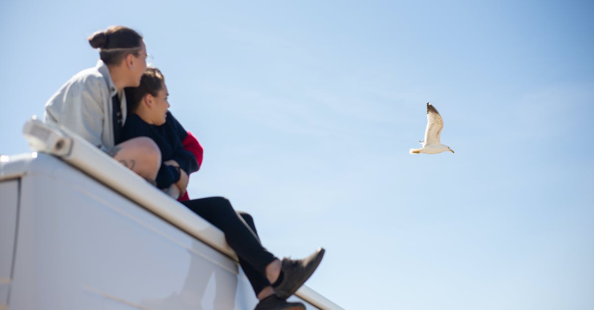 Bangkok roof top bar/restaurants recommendations [closed] - A Couple Watching a Bird Fly while Sitting on Top of an RV