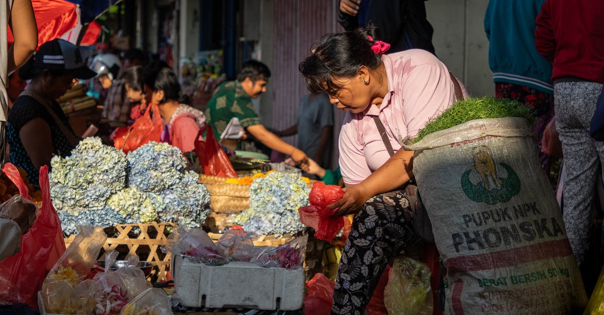 Bargaining at street stalls and secondhand shops in Mongolia - Woman Sitting on Sack Near Flowers