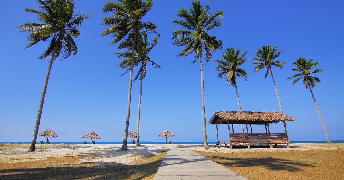 Beach huts closest to London - Coconut Trees Lined Near Sea at Daytime