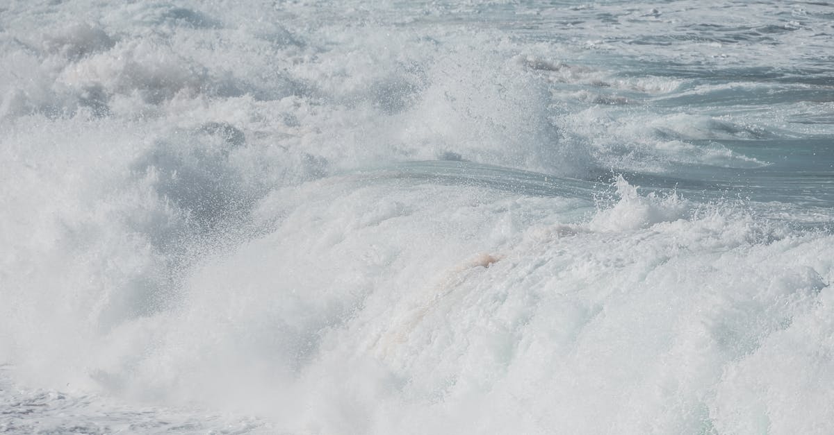 Beaches near Amsterdam [closed] - Ocean Waves Crashing on Shore