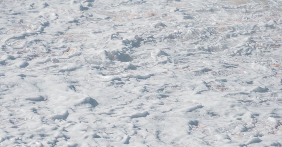 Beaches near Amsterdam [closed] - White Snow on the Ground