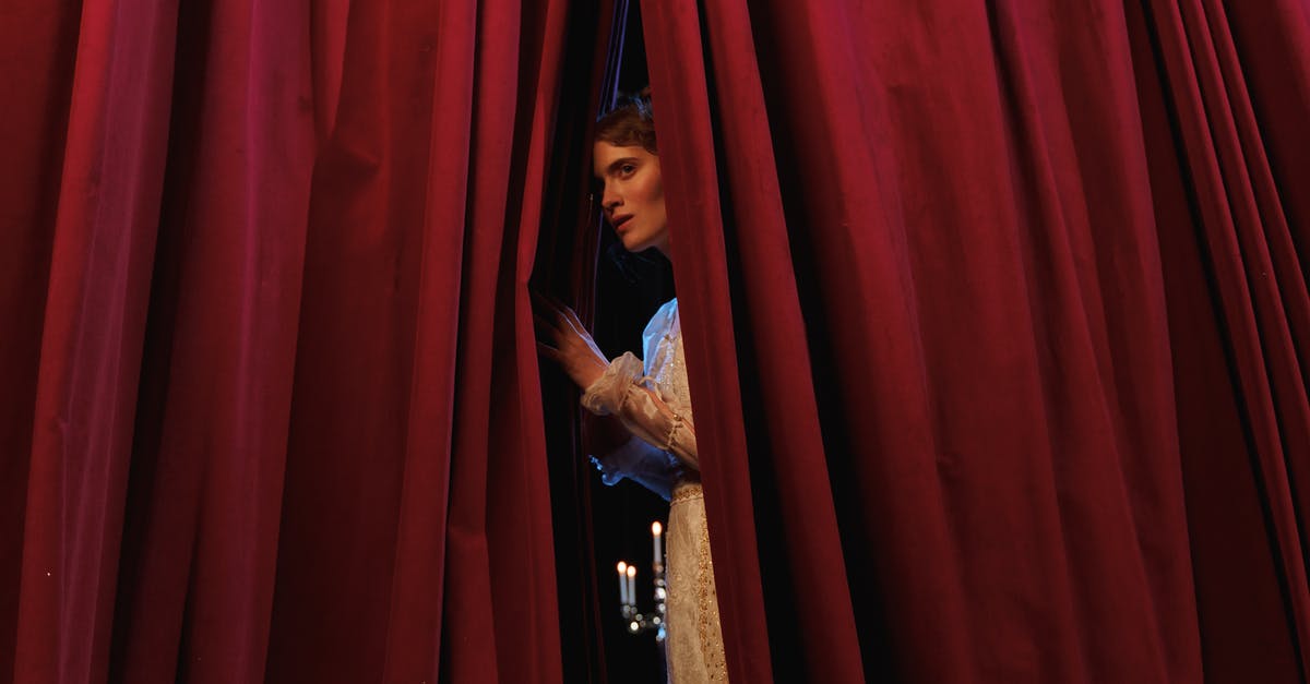 Behind the scenes tours in Zürich - Woman Standing Behind Red Curtain