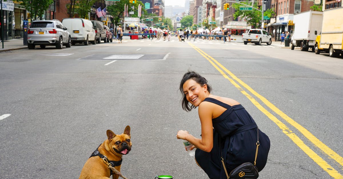 Being a tourist, can I film police in the US? - A Woman in Blue Dress and Her Brown Pug